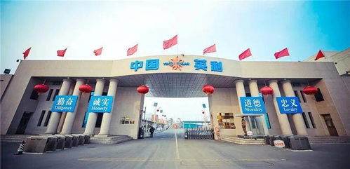 最新 保定線下教育培訓(xùn)機(jī)構(gòu)開班時間確定 英利正式進(jìn)入司法重整程序